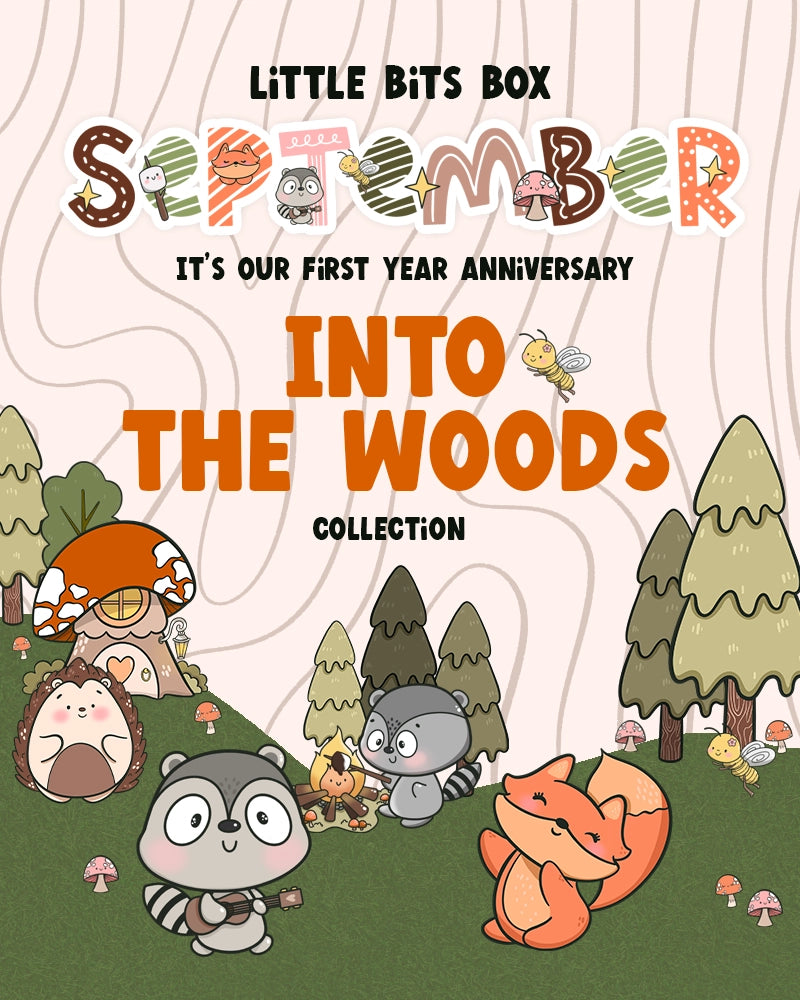 Little Bits Box | LITTLE BITS BOX